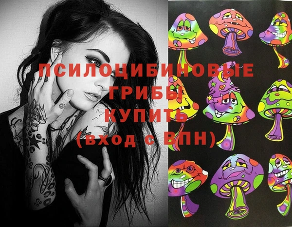 МДПВ Пересвет
