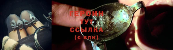 МДПВ Пересвет